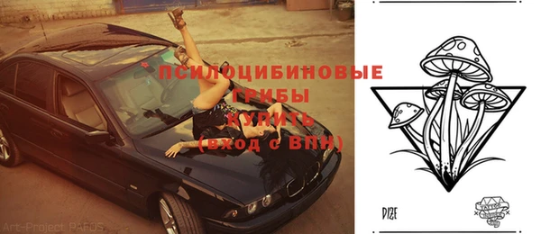 стафф Абаза