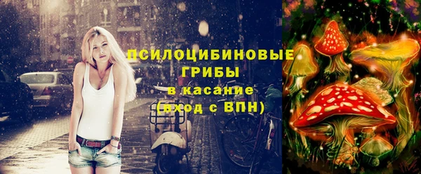 стафф Абаза