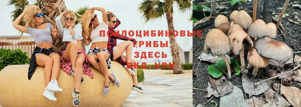 мет Инта